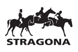 logo stragona